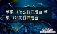 苹果11怎么打开后台 苹果11如何打开后台