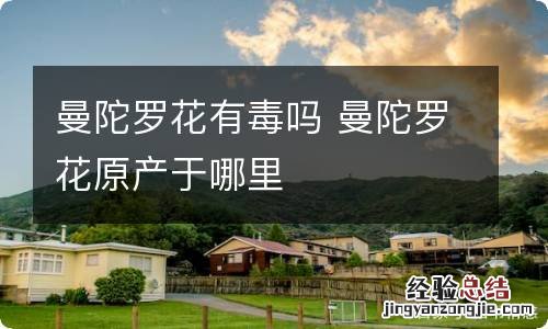 曼陀罗花有毒吗 曼陀罗花原产于哪里