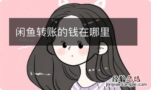 闲鱼转账的钱在哪里