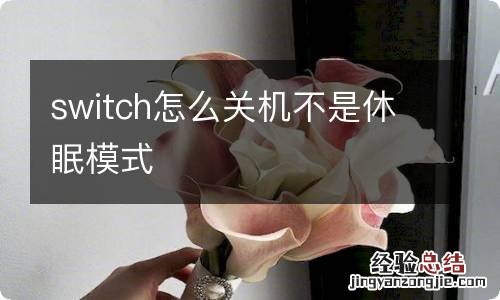 switch怎么关机不是休眠模式