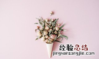 家里为什么不能放干花和假花的东西 家里为什么不能放干花和假花