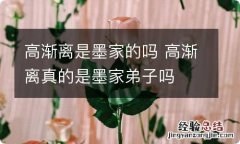 高渐离是墨家的吗 高渐离真的是墨家弟子吗