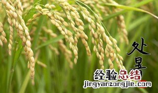 处暑过后到哪个节气 处暑之后是哪个节气