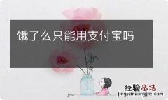 饿了么只能用支付宝吗