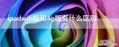 ipadwifi版和4g版有什么区别