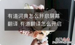 有道词典怎么开启屏幕翻译 有道翻译怎么开启屏幕翻译