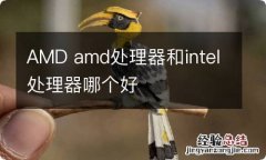 AMD amd处理器和intel处理器哪个好