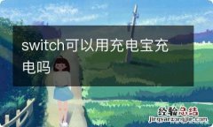 switch可以用充电宝充电吗