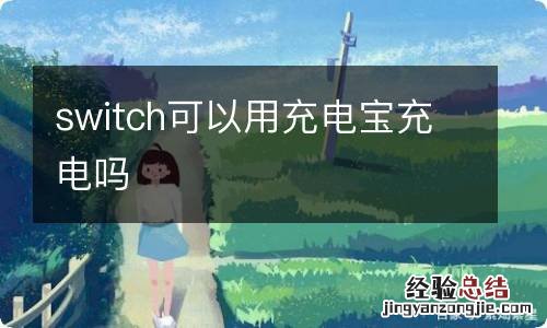 switch可以用充电宝充电吗