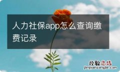 人力社保app怎么查询缴费记录