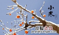 什么节气开始冷 哪个节气开始冷