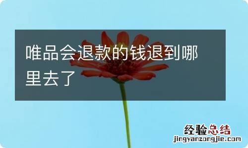 唯品会退款的钱退到哪里去了