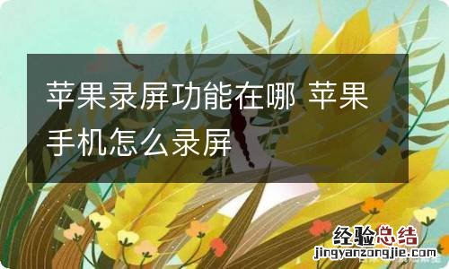 苹果录屏功能在哪 苹果手机怎么录屏