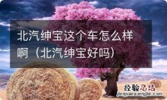 北汽绅宝好吗 北汽绅宝这个车怎么样啊