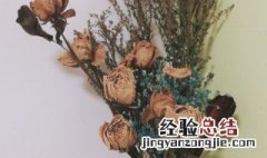 干花的制作方法是什么样的 干花的制作方法是什么