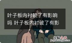 叶子板内衬破了有影响吗 叶子板内衬破了有影响吗视频