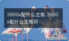 3900x配什么主板 3900x配什么主板好