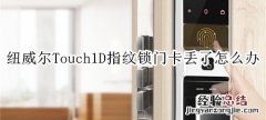 纽威尔Touch1D指纹锁门卡丢了怎么办