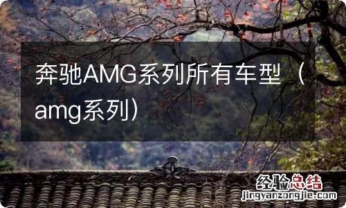 amg系列 奔驰AMG系列所有车型