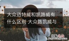 大众迈特威和凯路威有什么区别 大众路凯威与迈凯威区别