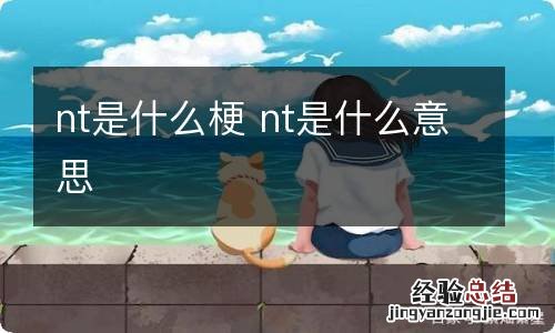 nt是什么梗 nt是什么意思