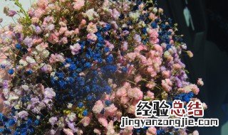 满天星对风水不好吗 满天星对风水不好吗图片