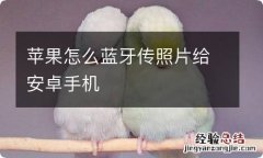 苹果怎么蓝牙传照片给安卓手机