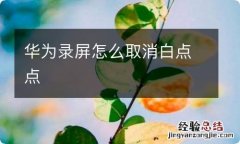 华为录屏怎么取消白点点