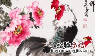 属什么不适合挂鸡画 属什么不适合挂鸡画画