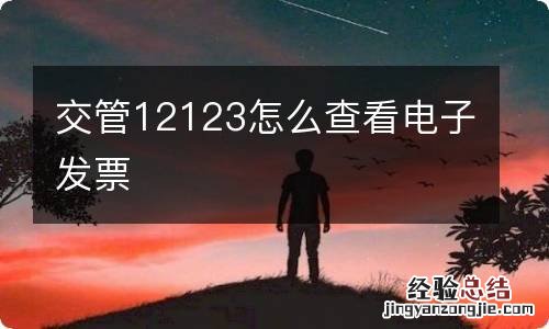 交管12123怎么查看电子发票