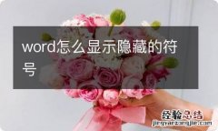 word怎么显示隐藏的符号