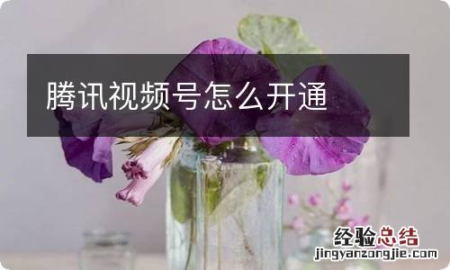 腾讯视频号怎么开通