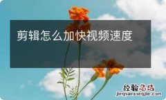 剪辑怎么加快视频速度