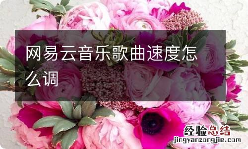 网易云音乐歌曲速度怎么调