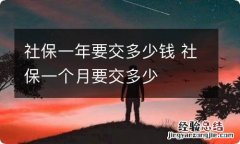 社保一年要交多少钱 社保一个月要交多少