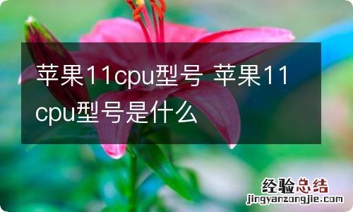 苹果11cpu型号 苹果11cpu型号是什么