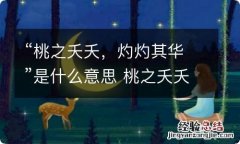 “桃之夭夭，灼灼其华”是什么意思 桃之夭夭灼灼其华翻译意思