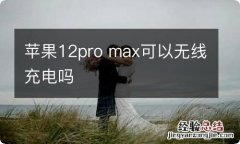 苹果12pro max可以无线充电吗