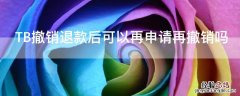 TB撤销退款后可以再申请再撤销吗