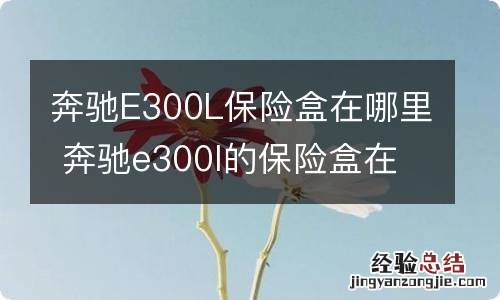 奔驰E300L保险盒在哪里 奔驰e300l的保险盒在哪里