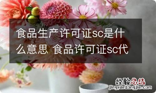 食品生产许可证sc是什么意思 食品许可证sc代表什么