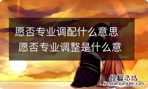 愿否专业调配什么意思 愿否专业调整是什么意思