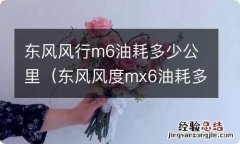 东风风度mx6油耗多少 东风风行m6油耗多少公里