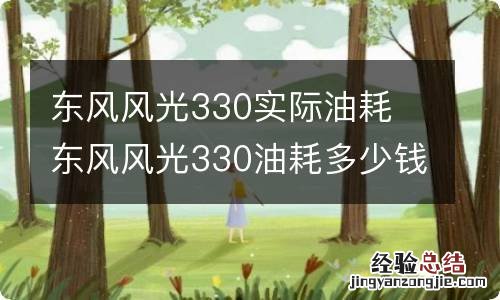 东风风光330实际油耗 东风风光330油耗多少钱一公里