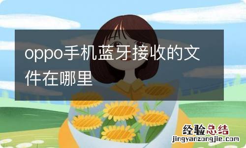 oppo手机蓝牙接收的文件在哪里