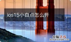 ios15小白点怎么开