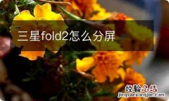 三星fold2怎么分屏