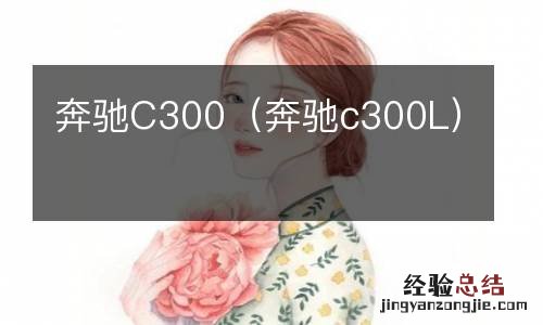 奔驰c300L 奔驰C300