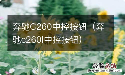 奔驰c260l中控按钮 奔驰C260中控按钮