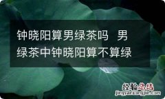 钟晓阳算男绿茶吗男绿茶中钟晓阳算不算绿茶